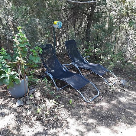 Roulotte Fenouillet Otel Hyères Dış mekan fotoğraf