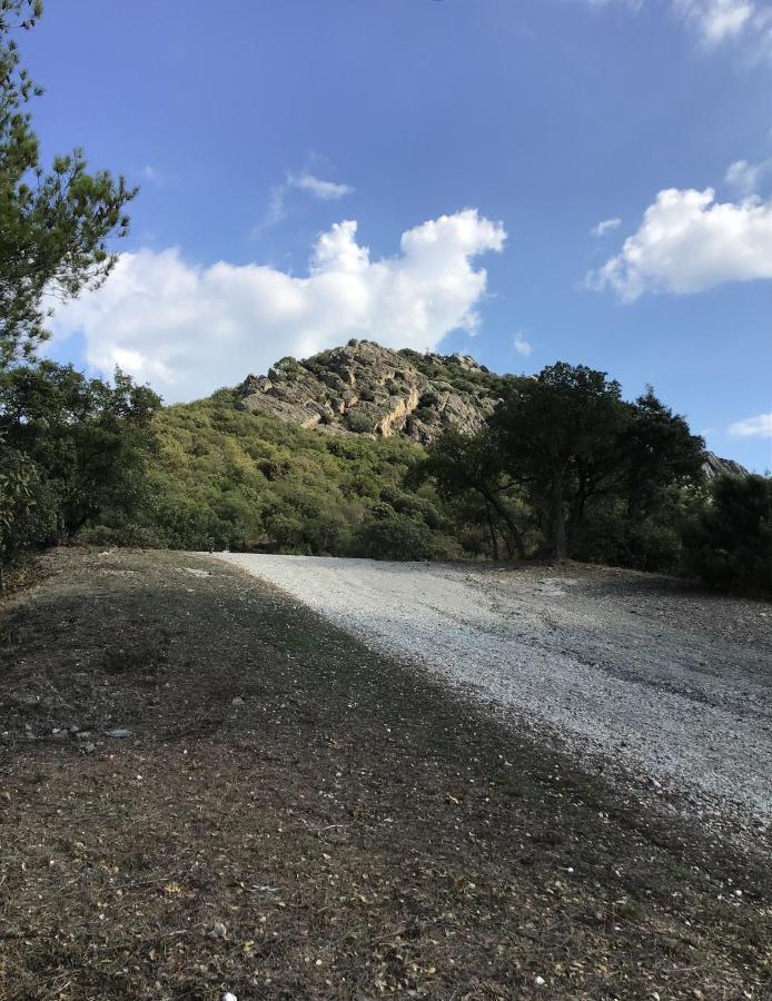 Roulotte Fenouillet Otel Hyères Dış mekan fotoğraf
