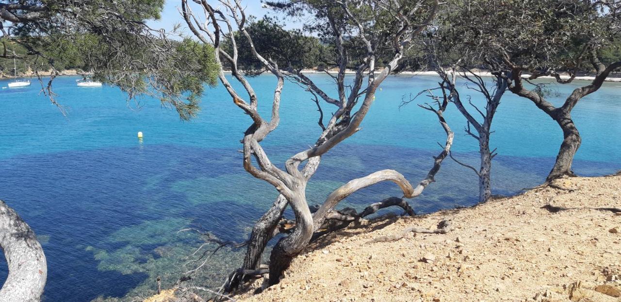 Roulotte Fenouillet Otel Hyères Dış mekan fotoğraf